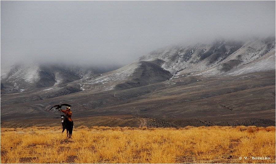 беркутчи, Вадько