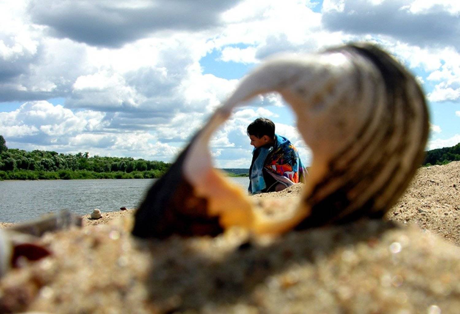 река, ракушка, лето,облака, ViT