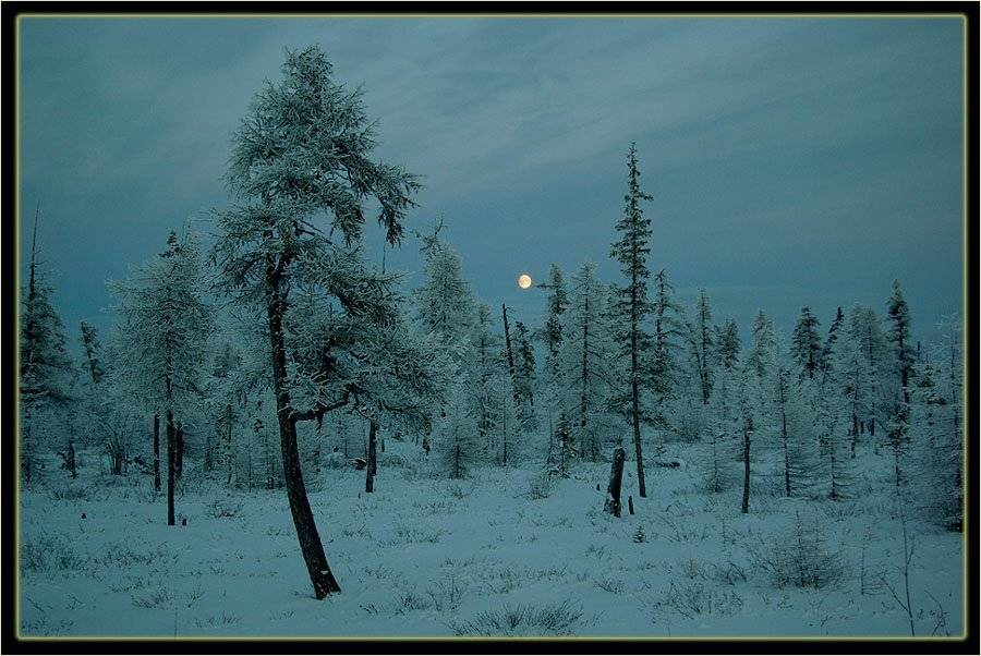 вечер зима тайга, Солодухин Виктор