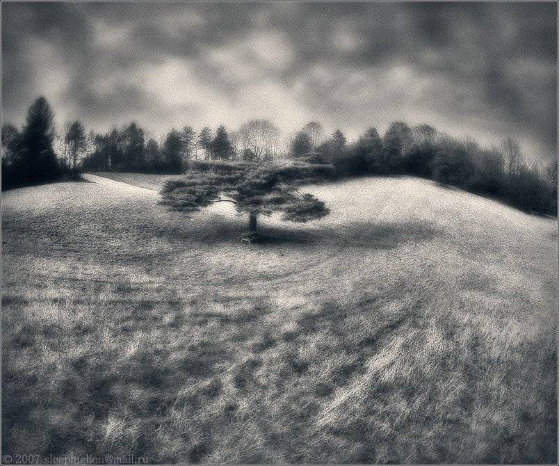 ик, infrared, инфракрасный, инфракрасное, мимикрия ик, имитация ик, pilgrim, Pilgrim