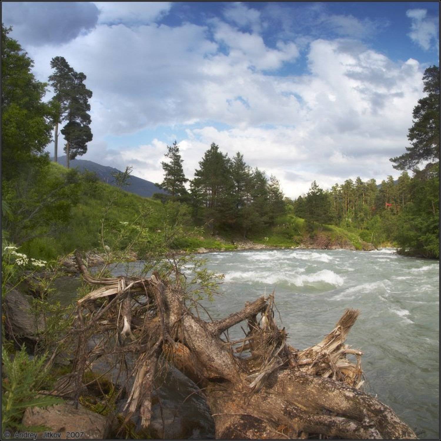 кавказ, архыз, лето, река, пейзаж, Андрей Житков