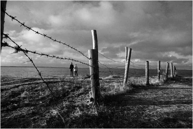 море *** фото превью