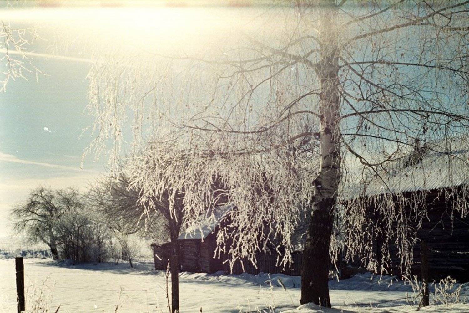 kamushek, пленка, зенит-122, helios, kamushek