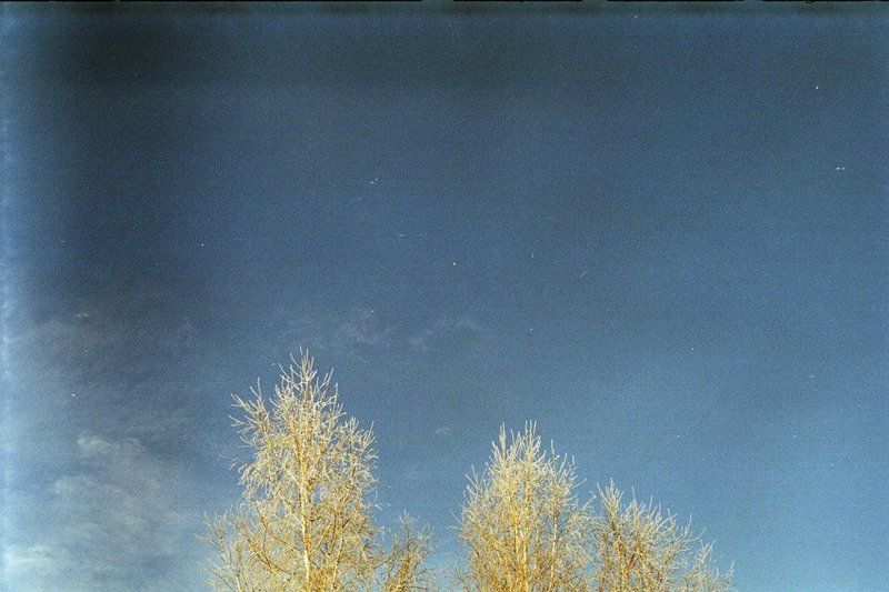 kamushek, пленка, зенит-122, helios *** фото превью