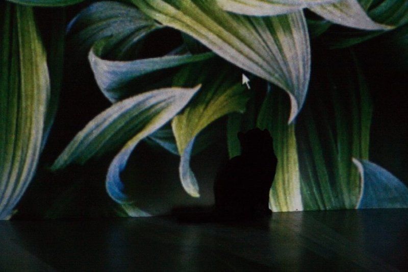 том, кот, джерри, компьютерный Том и компьютерный Джерри фото превью