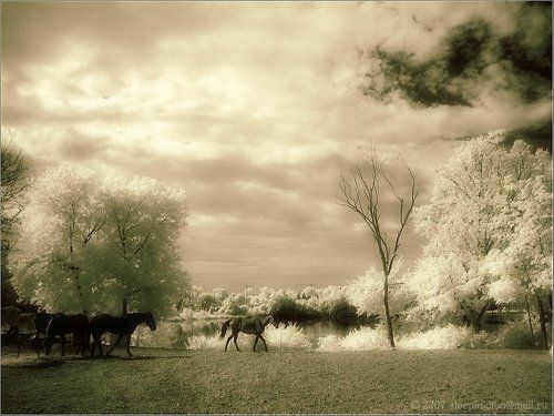 Родом из детства...