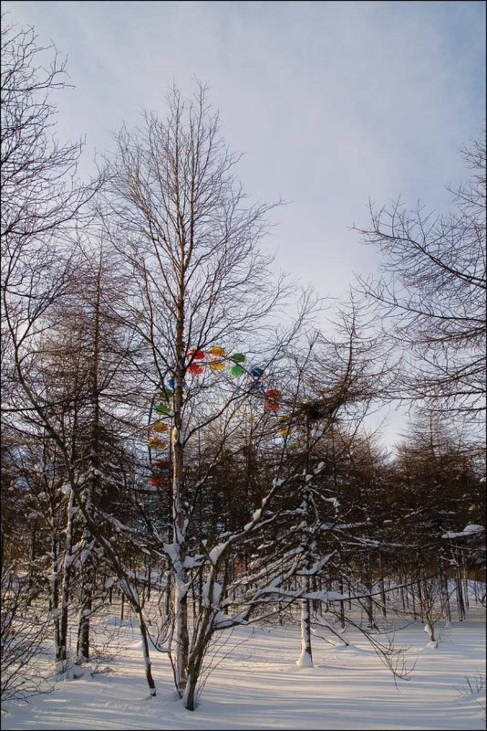 парк, колесо, Voldemar