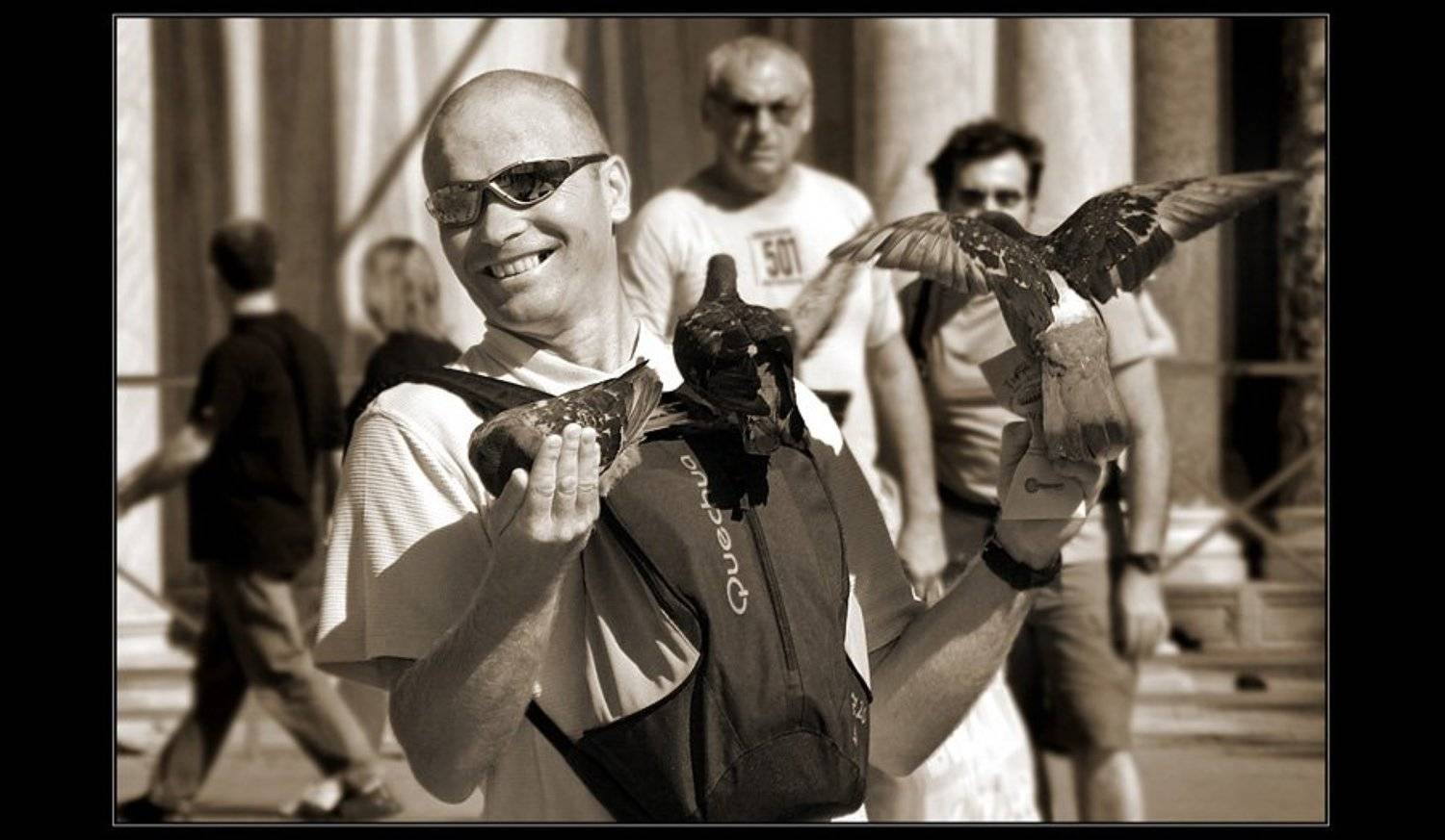 турист, сан-марко, венеция, голуби, Starfish