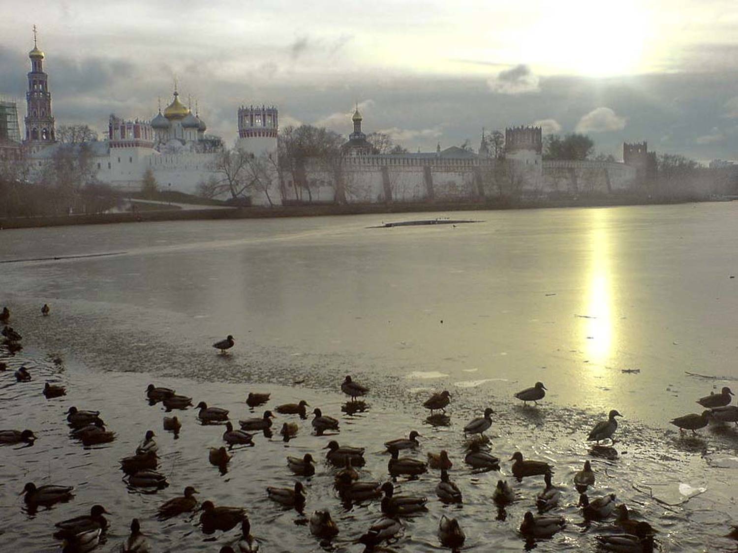 ноябрь, птицы, закатгород, eliz, Liz