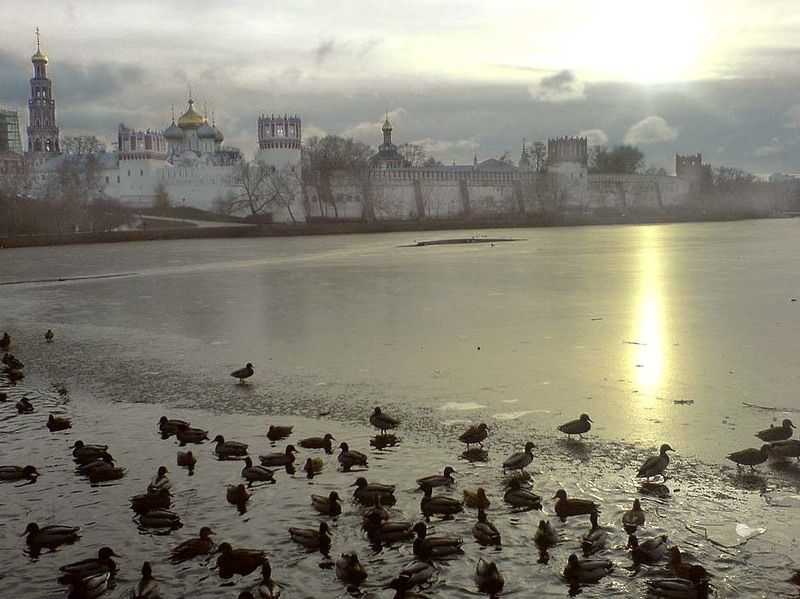 ноябрь, птицы, закатгород, eliz Закат фото превью