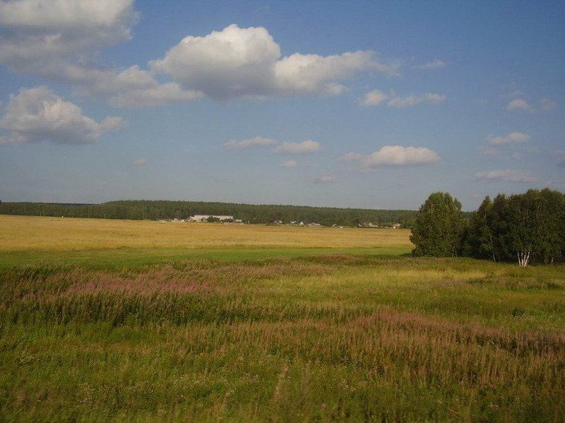 лето, поле Поле... русское поле фото превью