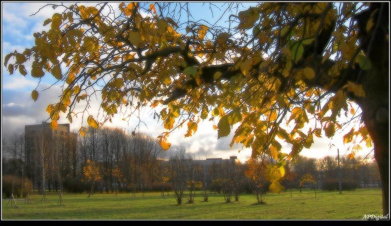 осень парк Осень в нашем парке фото превью