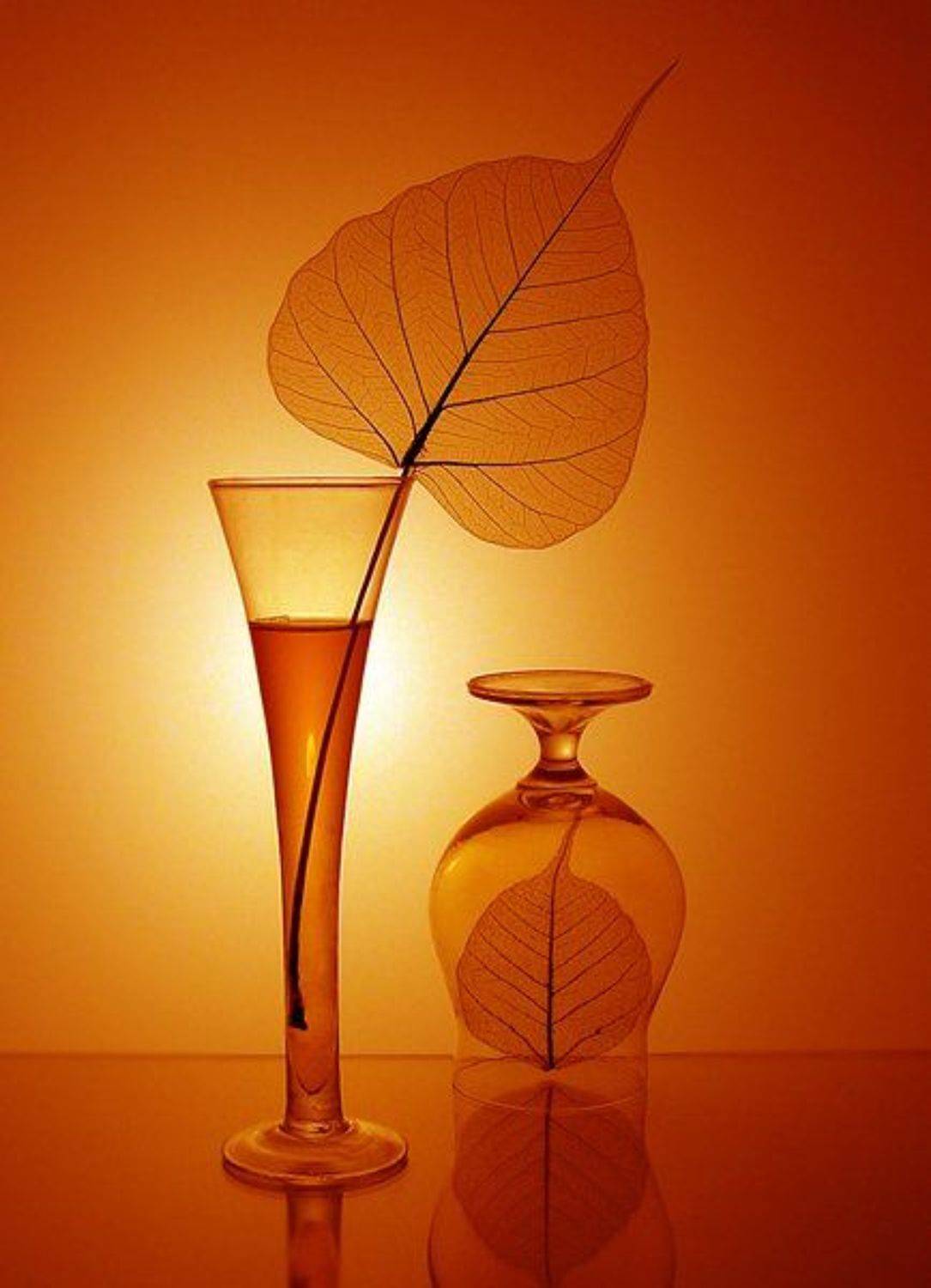 свет, бокал, лист, эликсир, отражение, Ирина