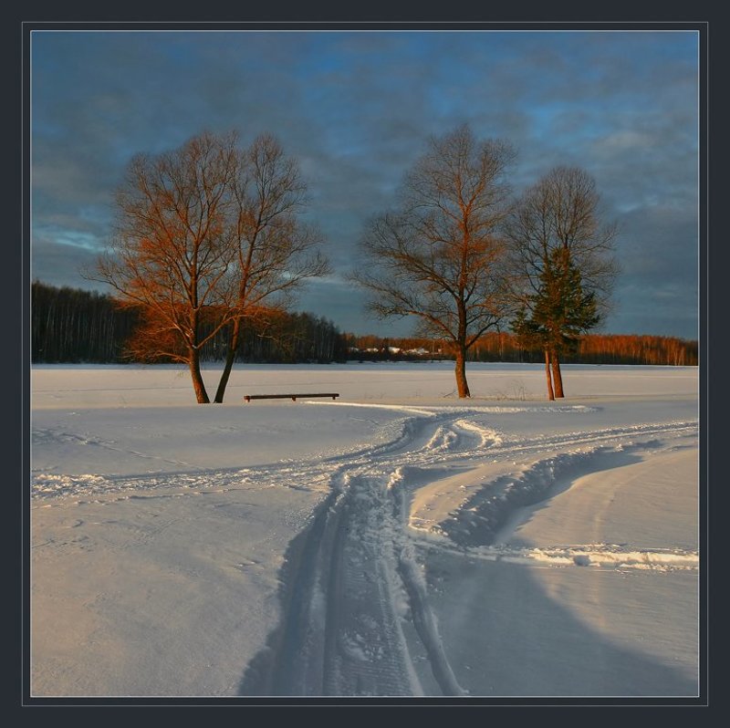 про три красных дерева... фото превью