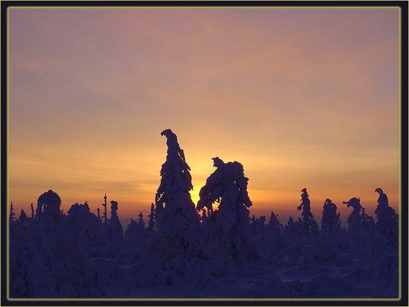 тайга заря якутия, Солодухин Виктор