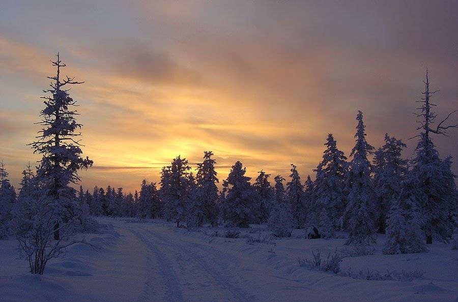 дорога тайга зима, Солодухин Виктор
