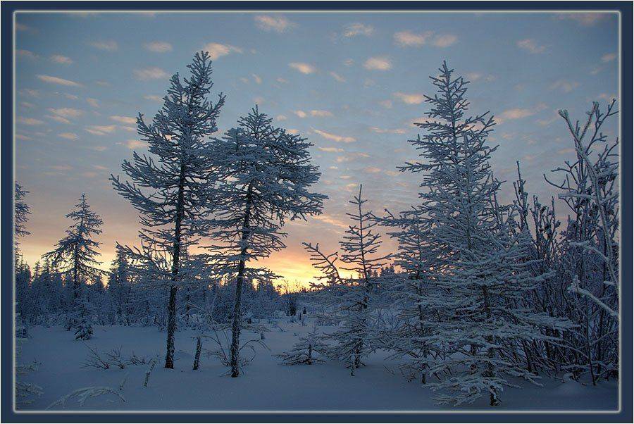 заря тайга зима, Солодухин Виктор