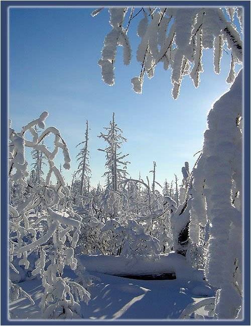 тайга зима якутия, Солодухин Виктор