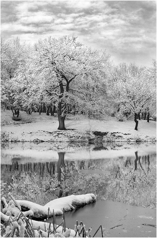 Природеяние фото превью