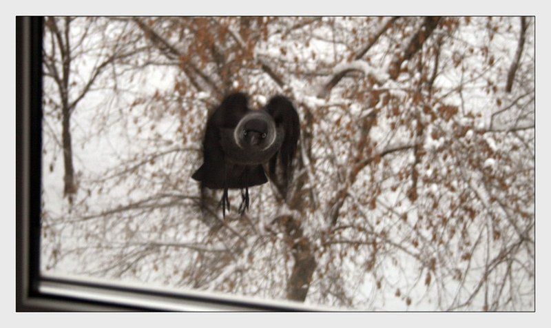 что кушаем сегодня? фото превью