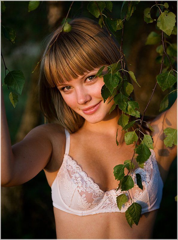 Березка фото превью