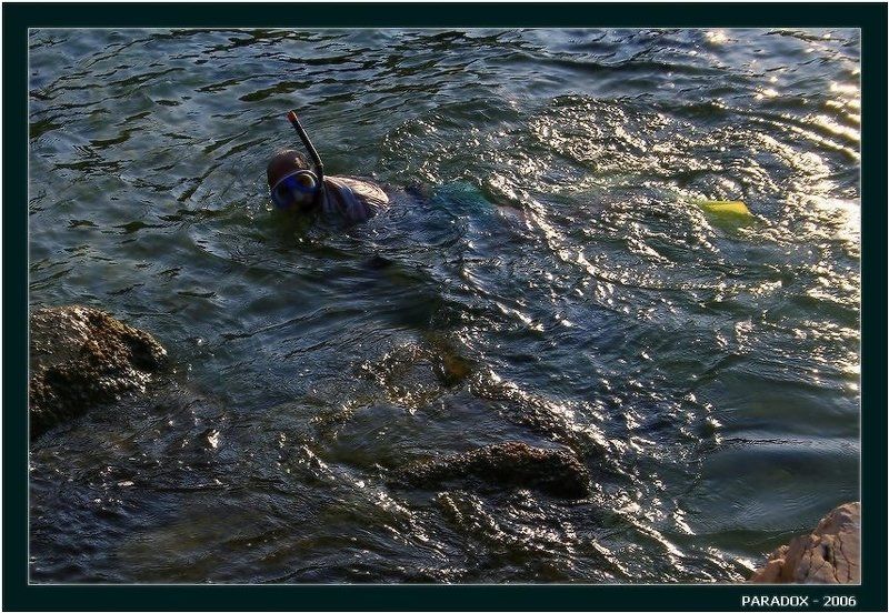 море,погружение,поздравление,дм.виноградов,paradox Погружение в день рождения Димы Виноградова фото превью