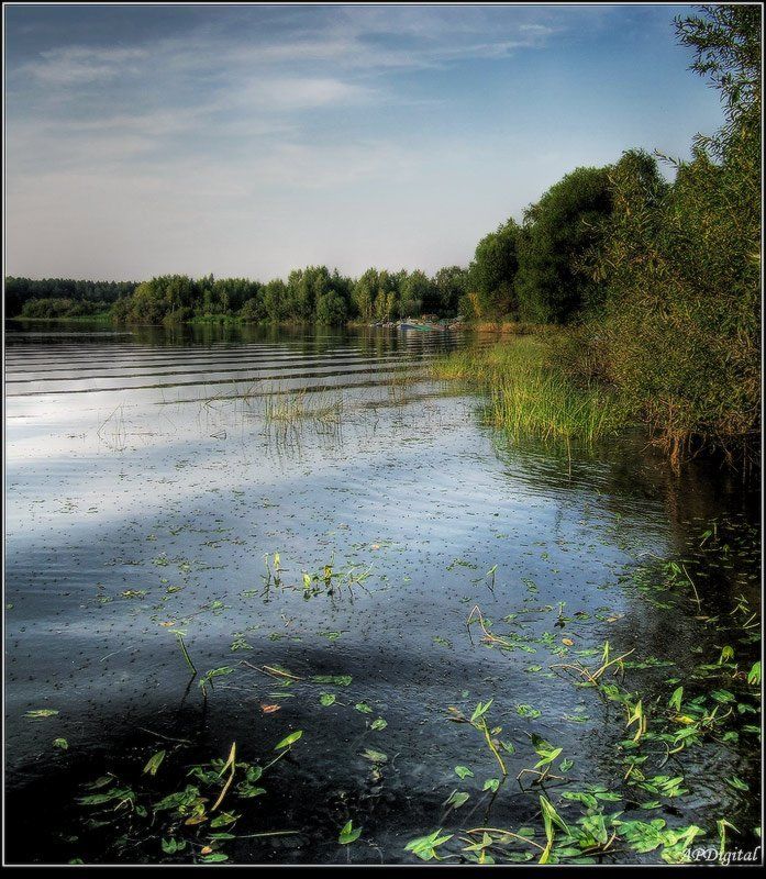 Всплеск фото превью