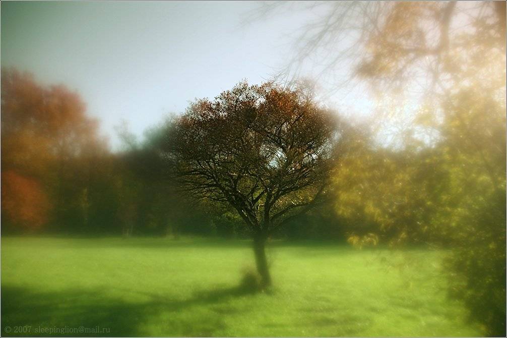 пейзаж, осень, pilgrim, Pilgrim