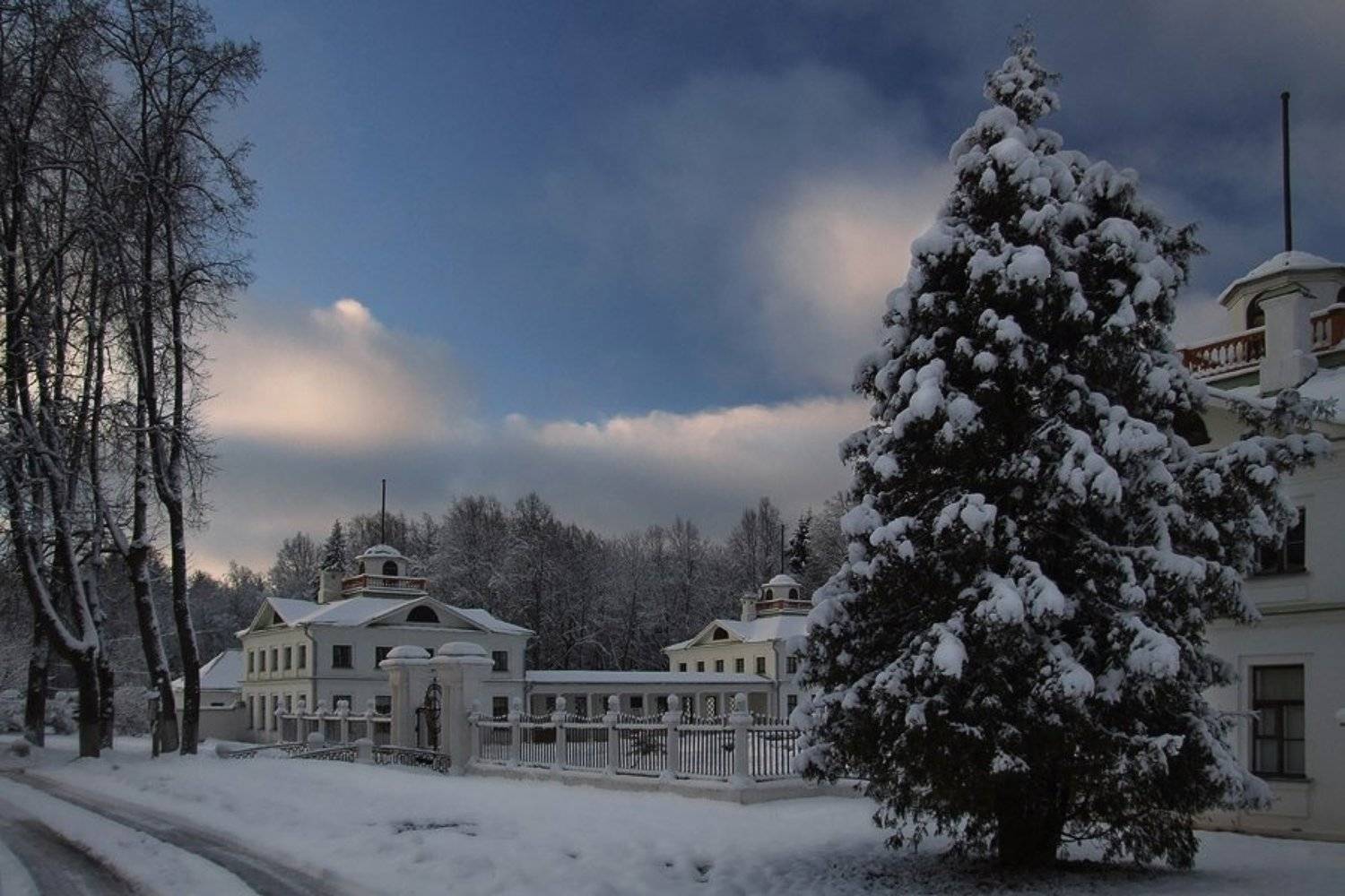 середниково, усадьба, Starfish