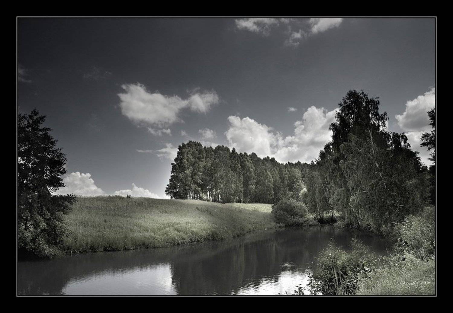 лето, Капустин Николай