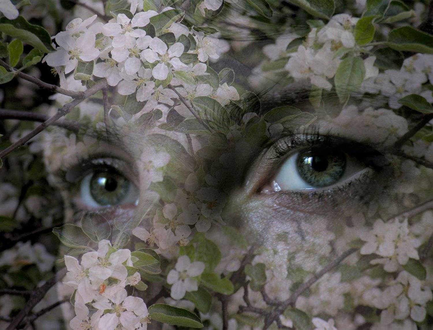 глаза, весна, девушка,взгляд, Виталий Кожевников