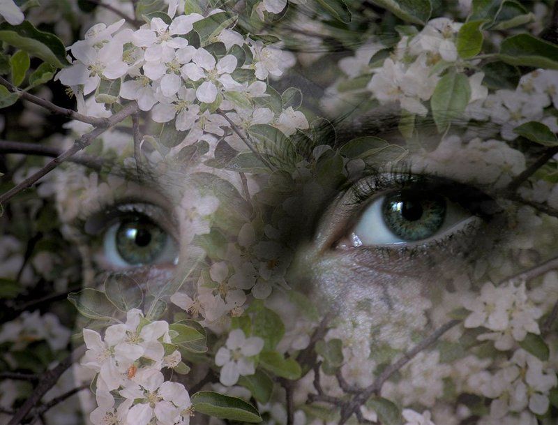 глаза, весна, девушка,взгляд взгляд весны фото превью