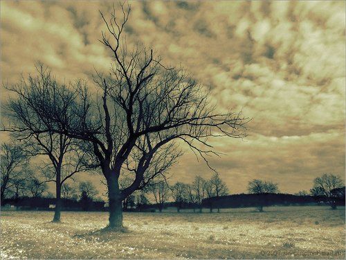 Sadness of Nature