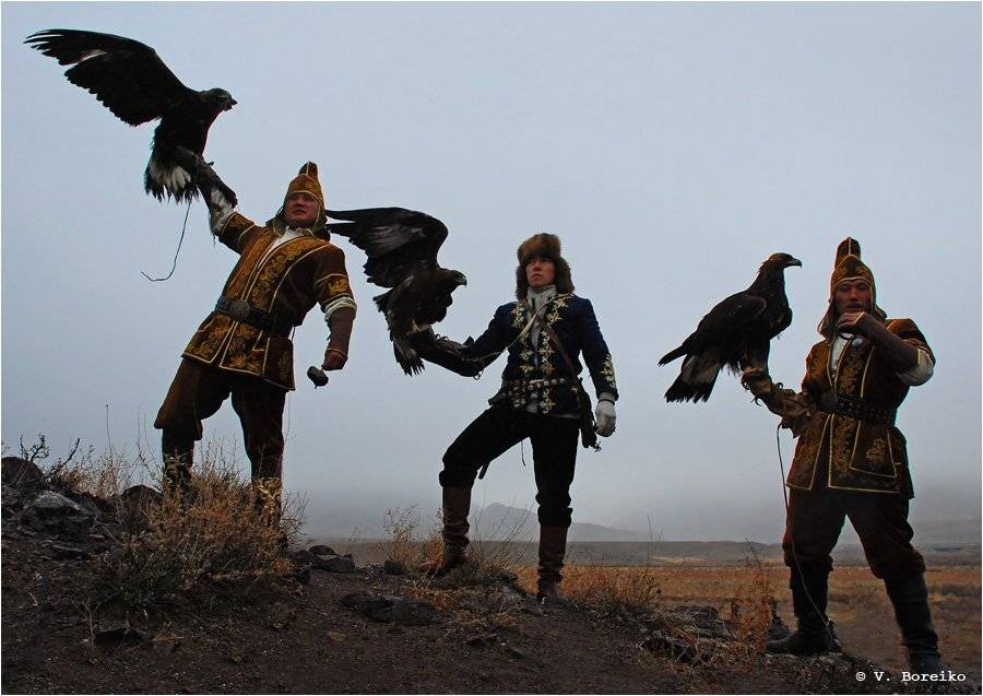 беркутчи, Вадько