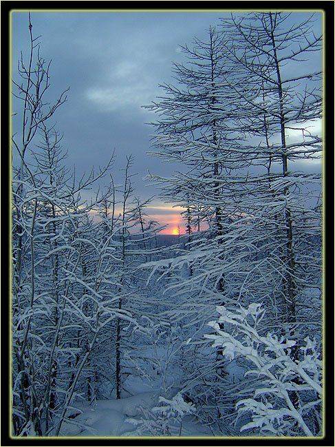 солнце зима заполярье, Солодухин Виктор