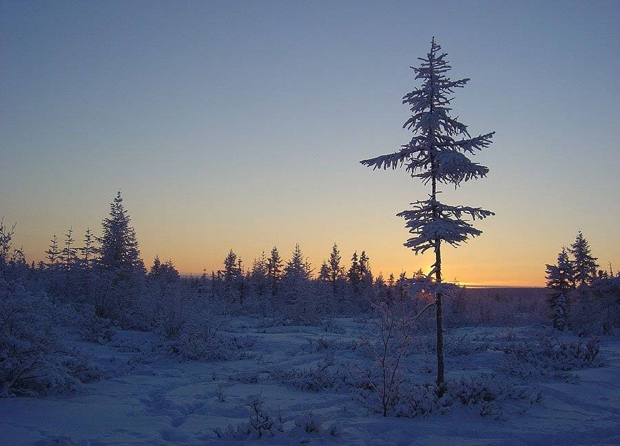 утро мороз зима, Солодухин Виктор