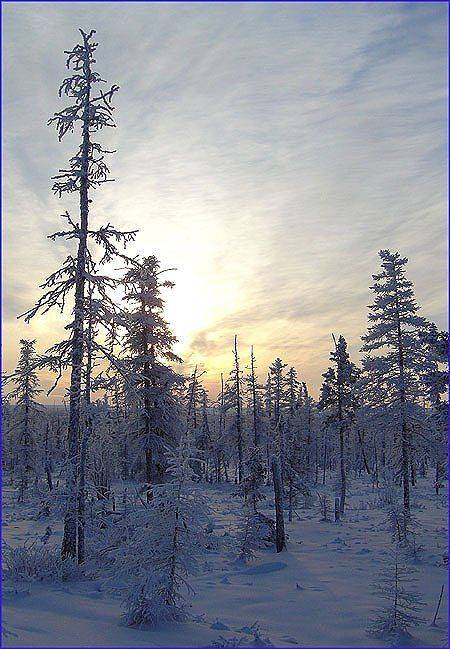 мороз солнце тайга зима, Солодухин Виктор