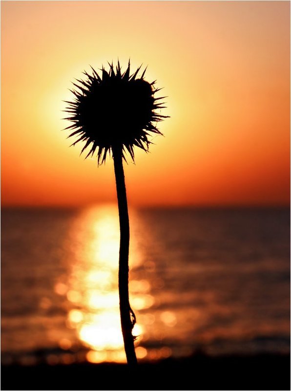 Глаз солнца фото превью