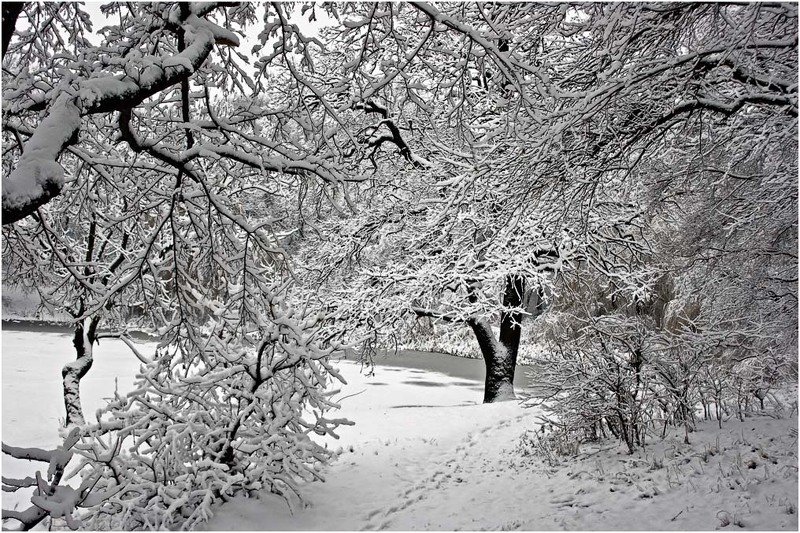 Шагая в зиму фото превью
