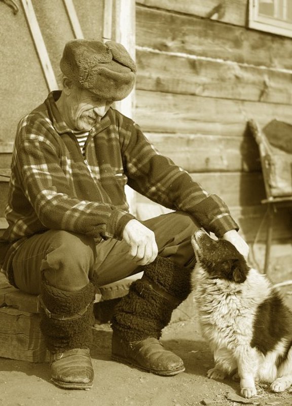 время,старость,дед,друг,собака Скоротаем вместе старость. фото превью