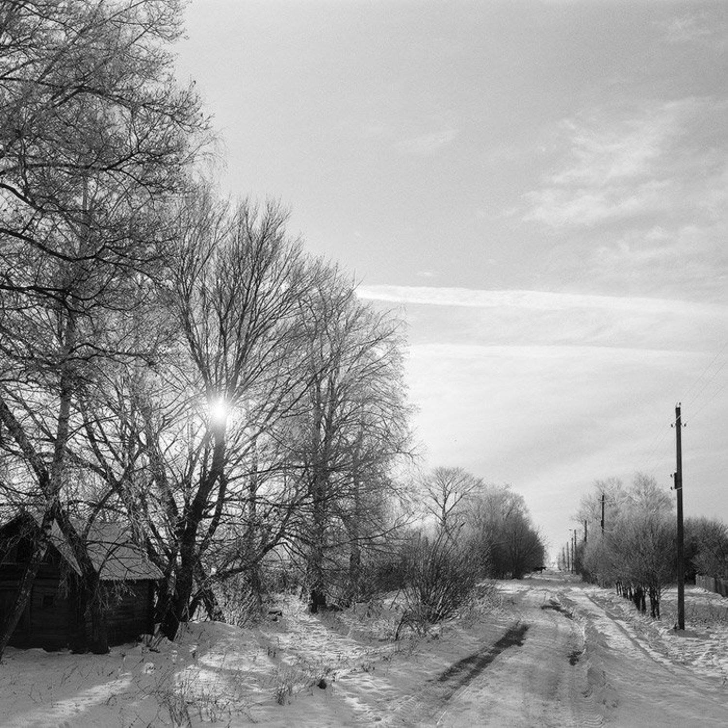 kamushek, пленка, ilford, 6x6, 120, киев-6с, мир-38б, kamushek