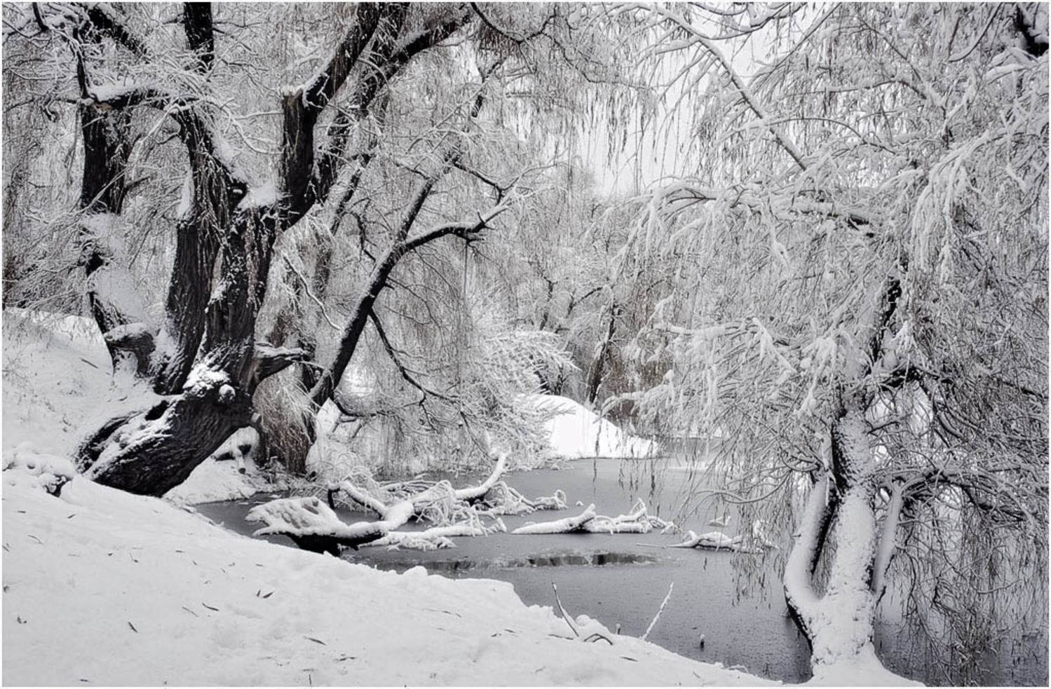 , Александр Батурский