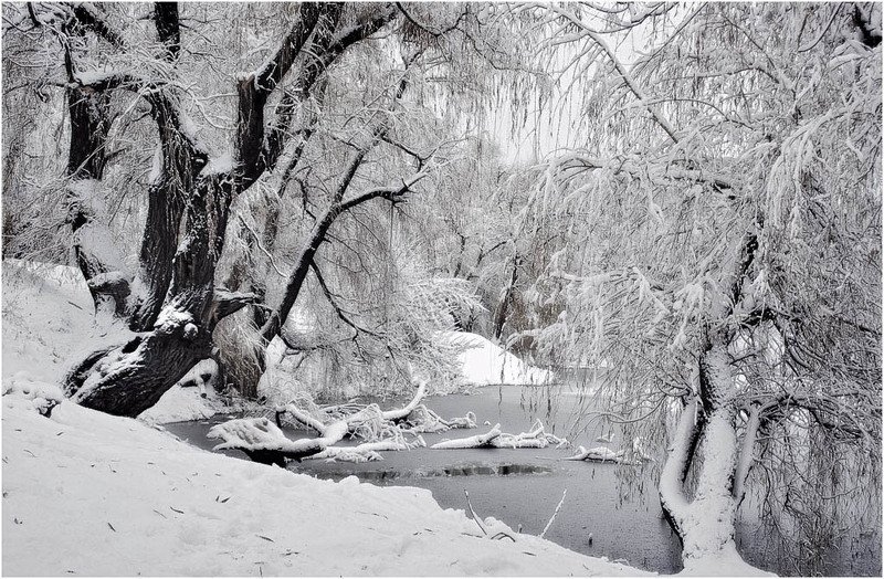 Зимняя  осень фото превью