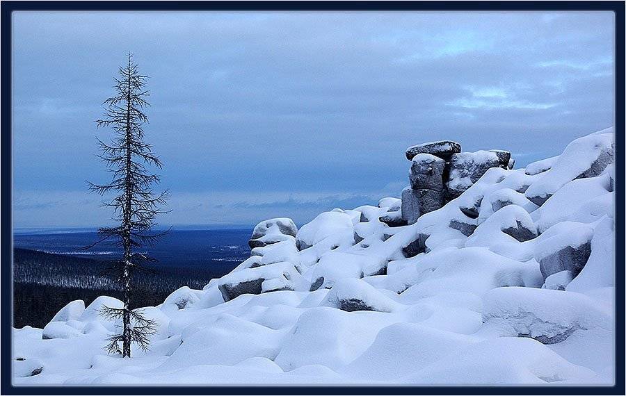 лиственница камни север, Солодухин Виктор