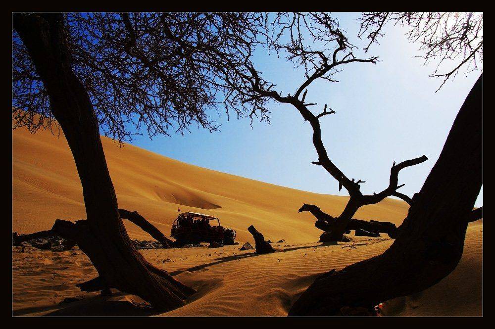 , Марина Кочетова