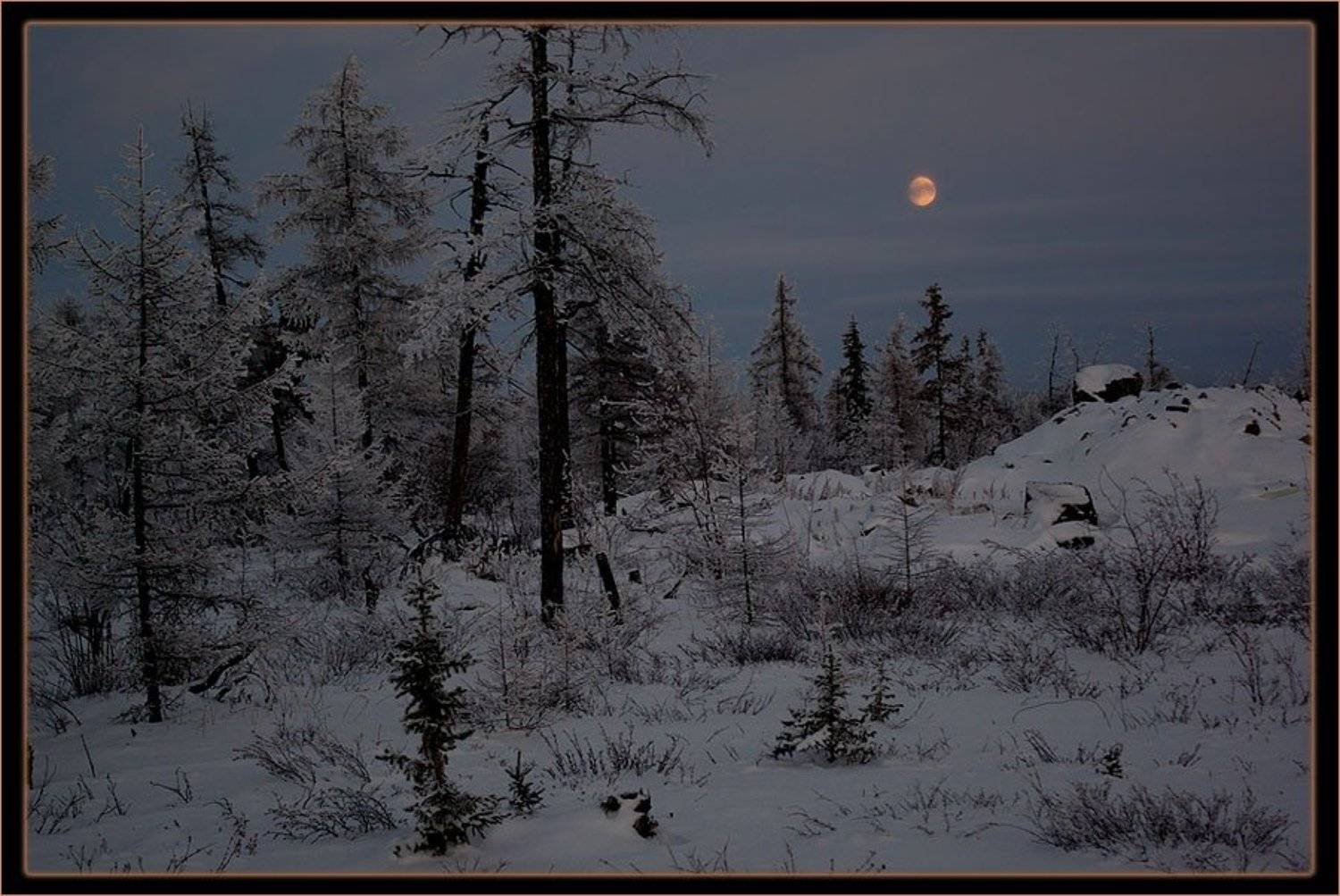 тайга зима вечер, Солодухин Виктор