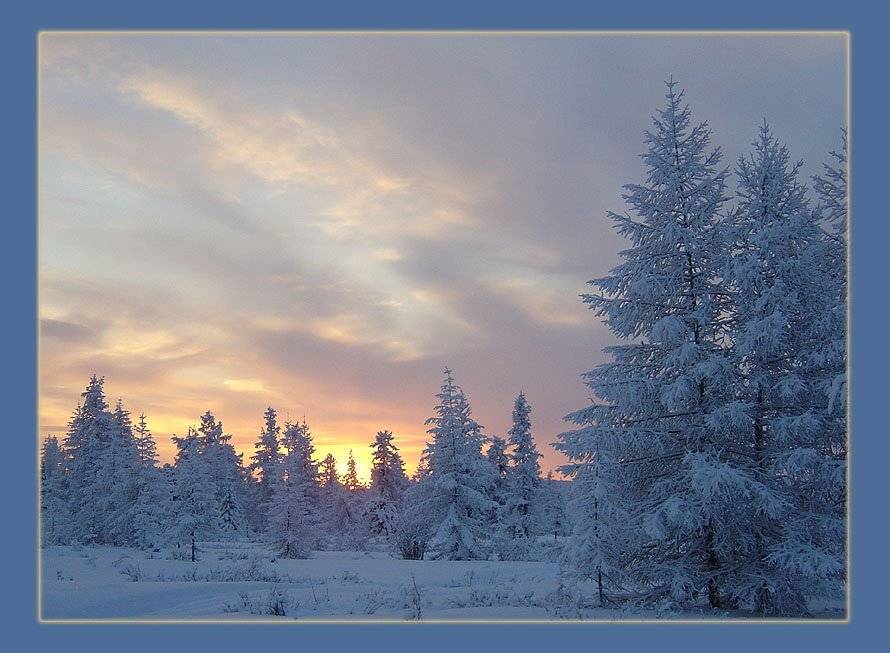 тайга зима заря мороз, Солодухин Виктор