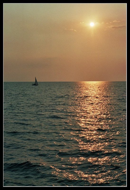 Золото заката фото превью