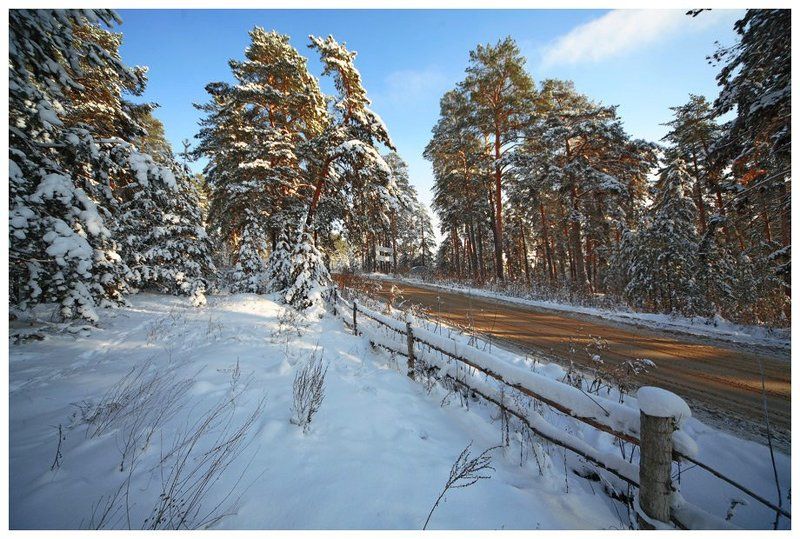 ель, тольятти, самарская область придорожный пейзаж фото превью