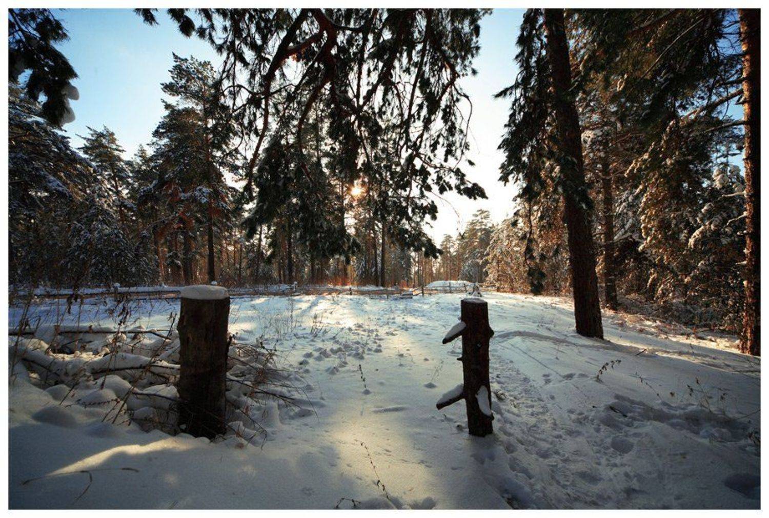 ель, тольятти, самарская область, artboogie